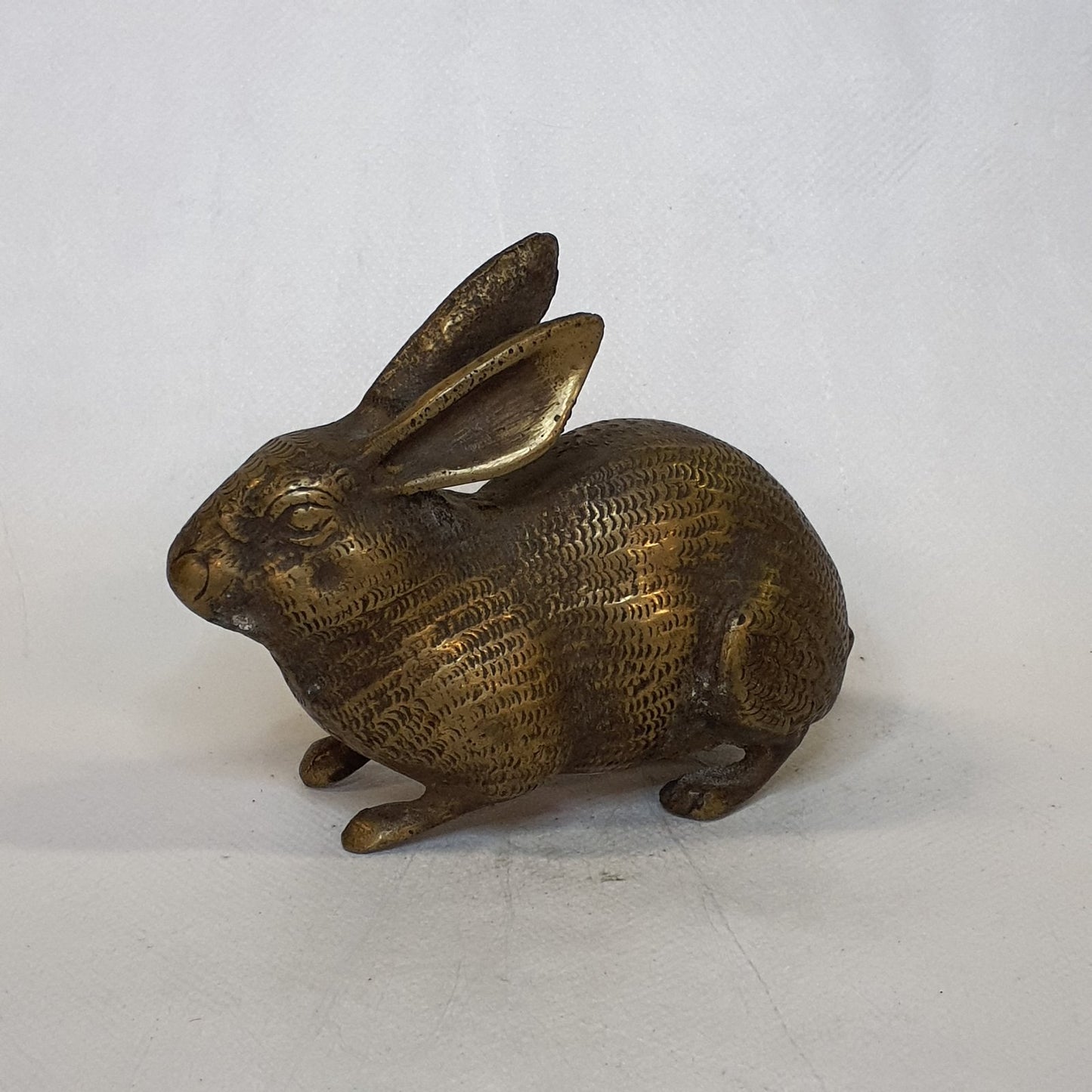 Hare