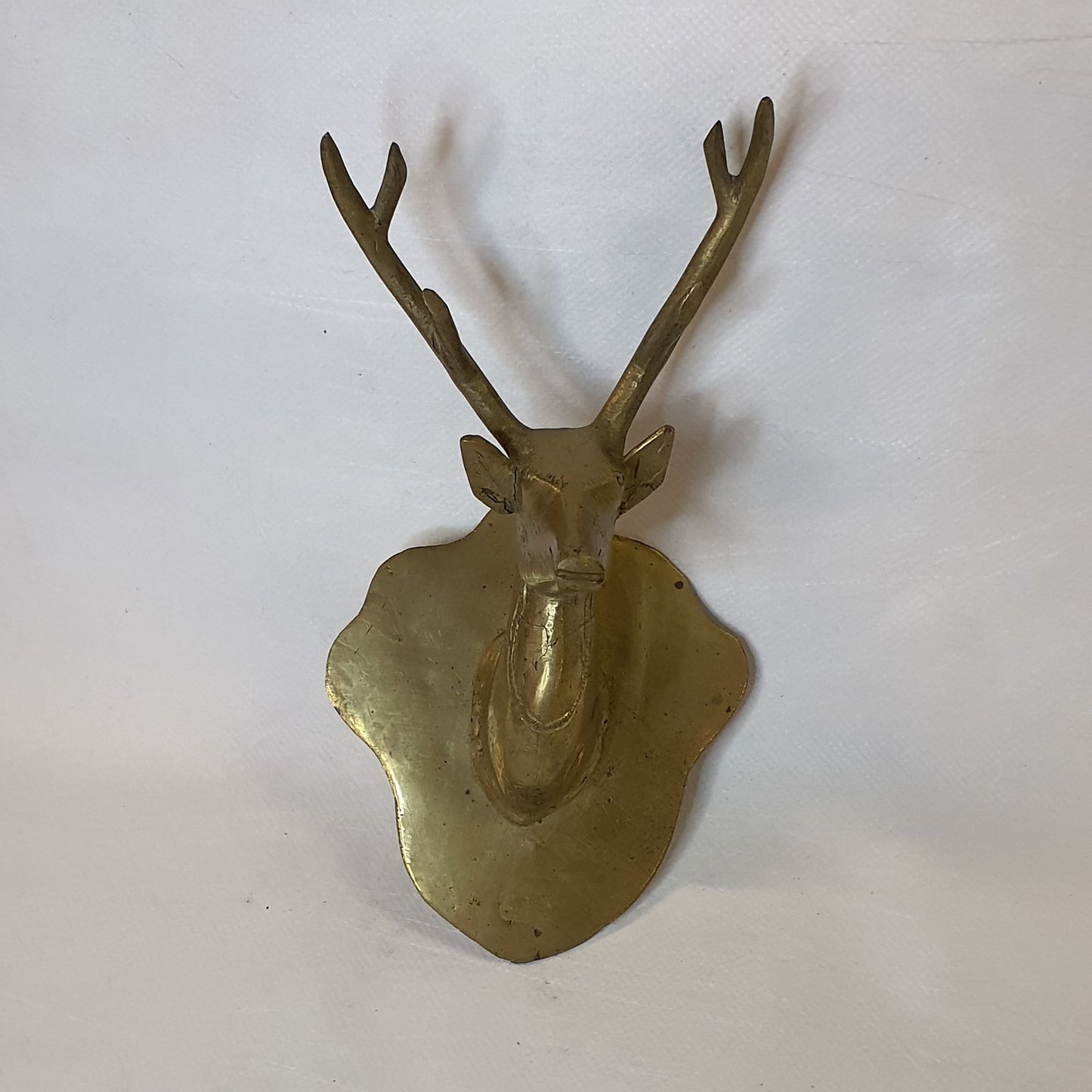 Deer head coat hook