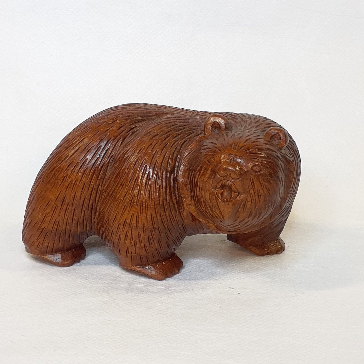 grizzly bear