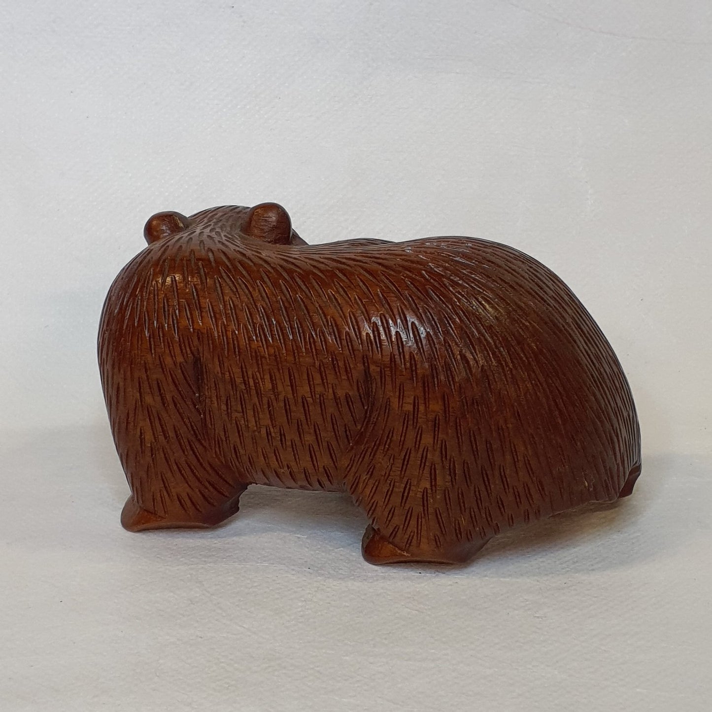 grizzly bear