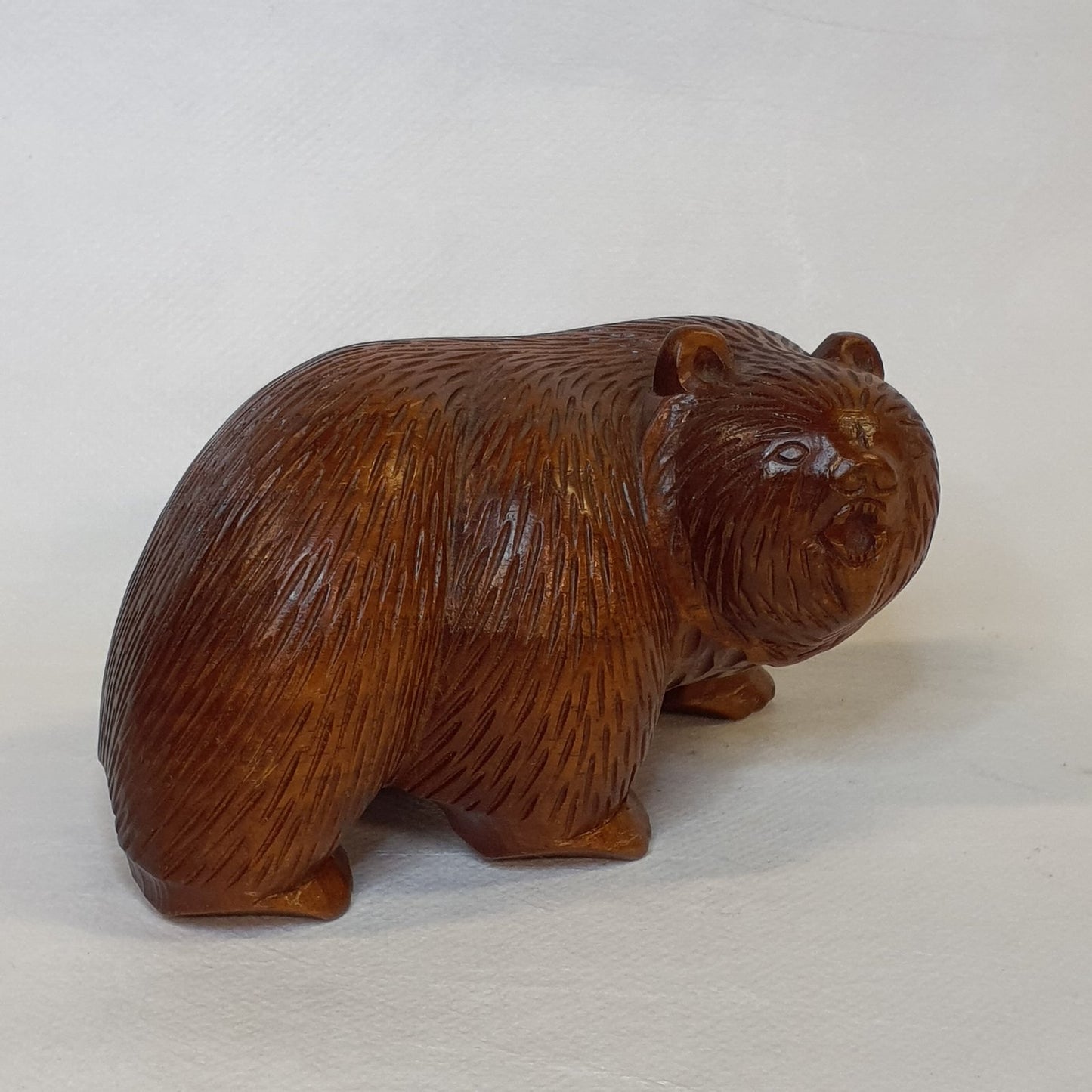 grizzly bear