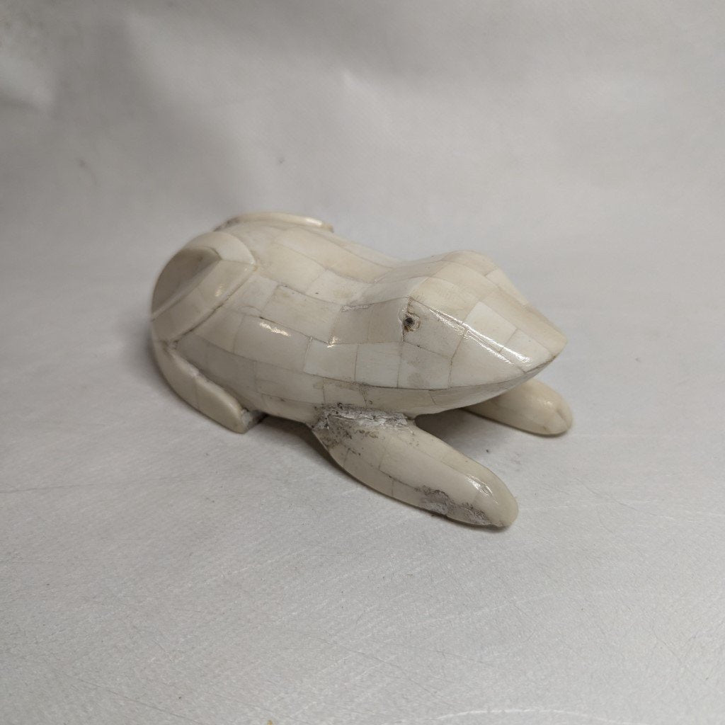 frog