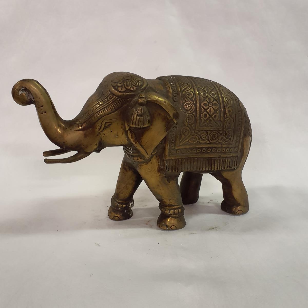 Elefant