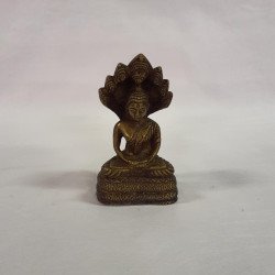 SheshNaag Buddha
