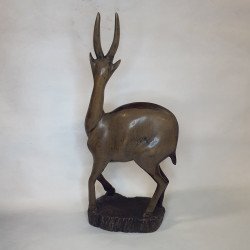 Gazelle