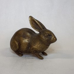 Hase