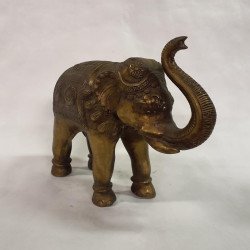 Elefant