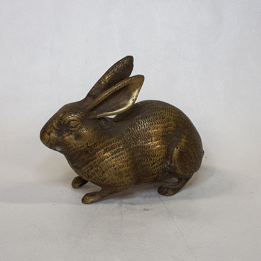 Hase