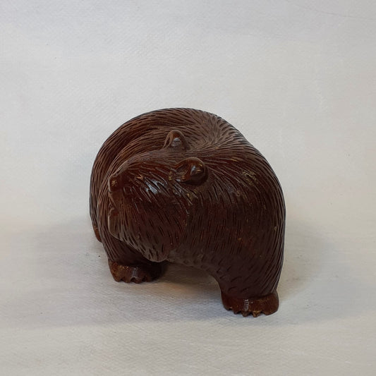 Grizzlybär
