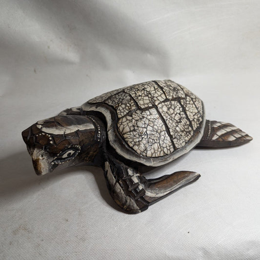 Schildkröte