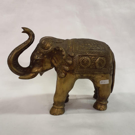 Elefant
