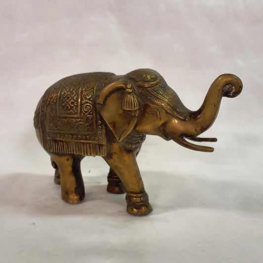 Elefant