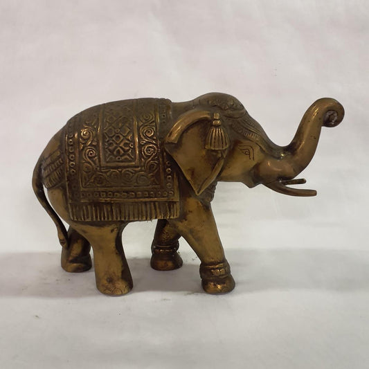 Elefant